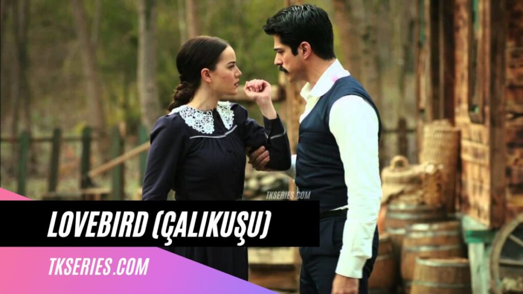 Cover of the Turkish Serie Lovebird (Çalıkuşu)