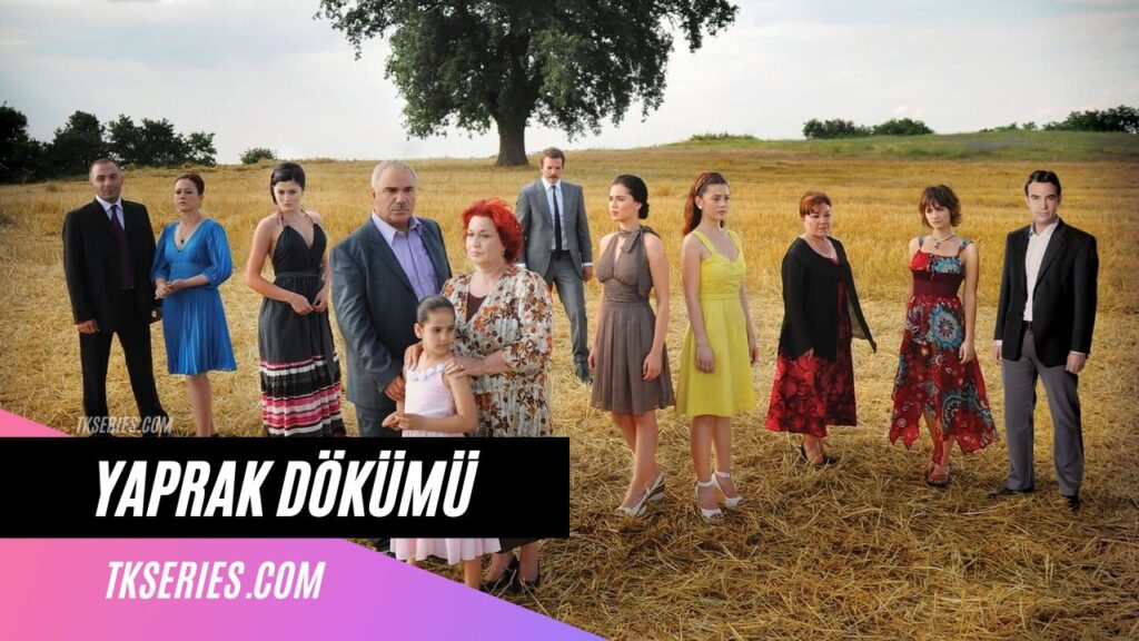 Cover of the Turkish TV series The fall of leaves (Yaprak Dökümü)